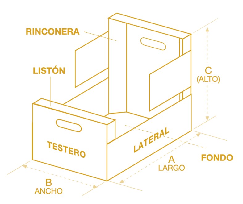COMPONENTES CAJA
